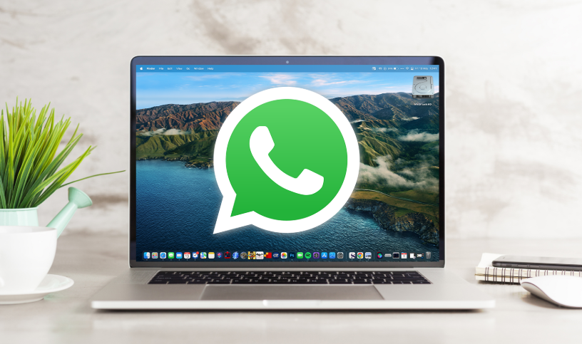 WhatsApp for macOS Adds Handy Chat Filters: Easily Switch Between Unread, Favourite, and Group Chats