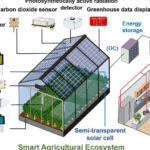 Record-Breaking Semi-Transparent Solar Cells Set the Stage for Power-Generating Windows